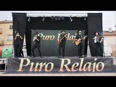 Concierto de Puro Relajo en Santacara Completo