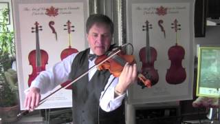 Serguei Tchepournov - Gypsy Spirit - Gypsy Music Violin