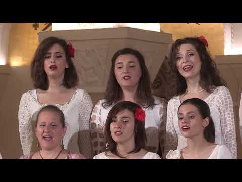 Vokalna radionica Bistrik - Šta se ono zeleni