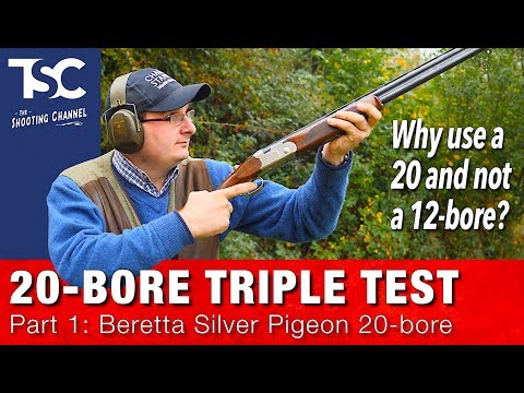 On test: Beretta Silver Pigeon 20 bore