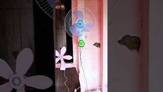 Download lagu Fan | Dancing Vibrating Fan ‼️ #fan #shorts #ventilador #funniestmoments #kipasangin #lucu #trending mp3 Download lagu Fan | Dancing Vibrating Fan ‼️ #fan #shorts #ventilador #funniestmoments #kipasangin #lucu #trending mp3
