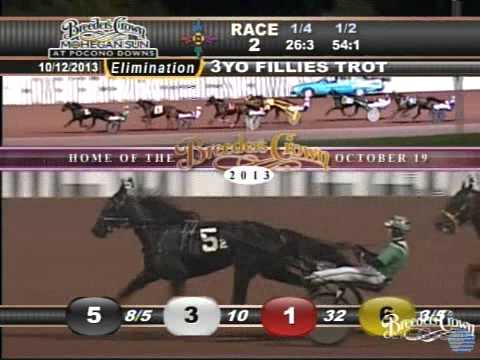 Coffeecake Hanover - 2013 Breeders Crown Elimination - Three-Year-Old Trotting Fillies