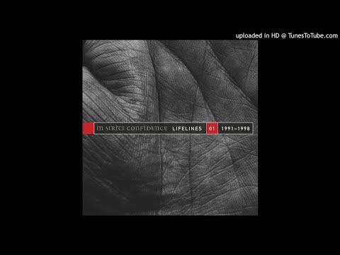 In Strict Confidence - Inside [Extended Version]