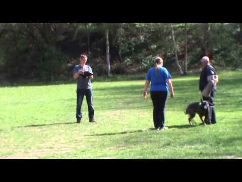 IPO1 Abteilung C - Schutzdienst