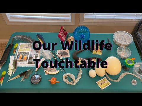 Promotional video thumbnail 2 for The Wildlife Connection