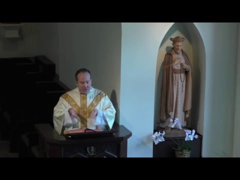 download lagu mp3 mp4 Seventh Sunday Of Easter Homily, download lagu Seventh Sunday Of Easter Homily gratis, unduh video klip Seventh Sunday Of Easter Homily