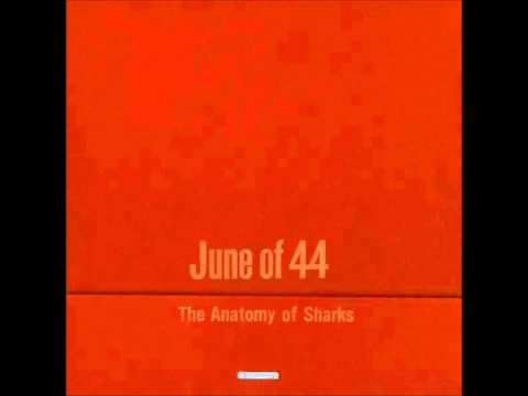 June Of 44 - Sharks and Sailors