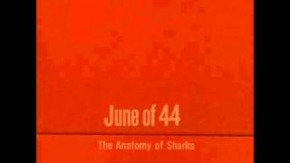 June Of 44 - Sharks and Sailors