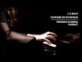J. S. Bach   - Fantasia in C minor (C moll) BWV 906 (piano)