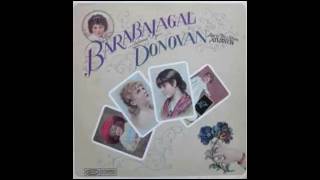 Donovan   Trudi Drum Break   Loop