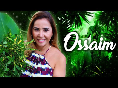 OSSAIM | Especial Orixás