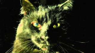 Headhunters - If You've Got It, You'll Get It (Mickback CutPaste Re-Edit)