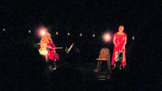 Birds on a wire -  Passacaglia Della Vita - Rendez-vous soniques - Saint Lô 11.11.2015