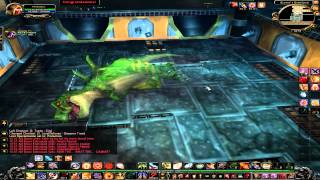 Playtime MMO   World of Warcraft   Brawlers Guild  Death