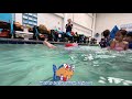 Asta 20 Months Swims In Los Alamitos CA Pool
