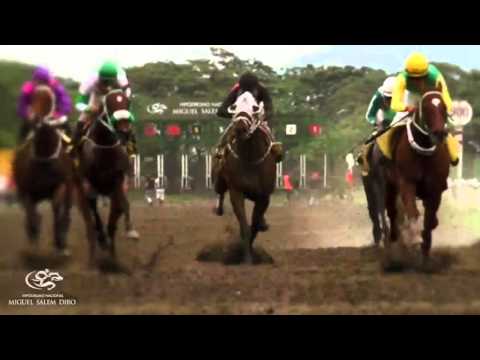 carreras en vivo domingo 6 de marzo 2016