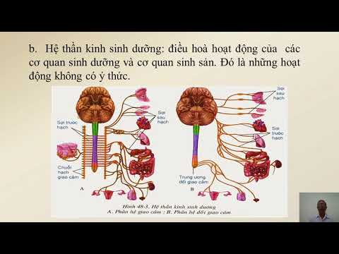 BÀI GIẢNG SINH HỌC LỚP 8