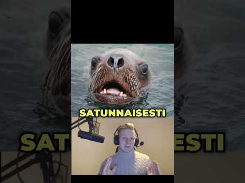 Tämä vaara vaanii syvyyksissä 😰