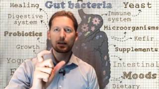 Are prebiotics doing more harm than good?
