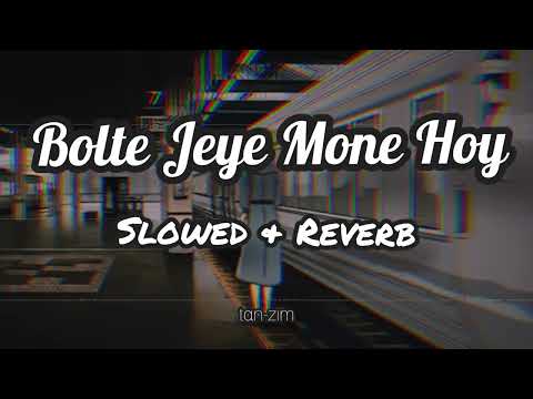 Bolte Jeye Mone Hoy|| বলতে যেয়ে মনে হয়||Slowed & Reverb||tαn-zim