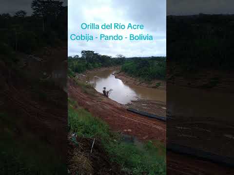 Cobija - Pando .Bolivia
