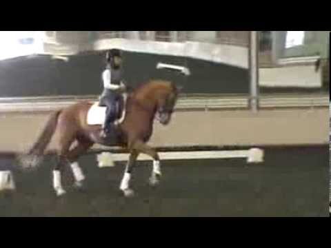 Topline Training - Zodessa 12/17/13