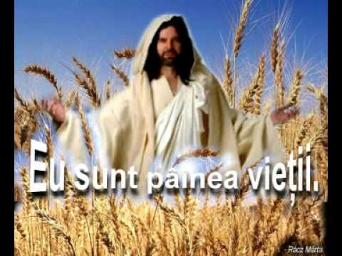 negativ  opreste-te de  graba varianta2