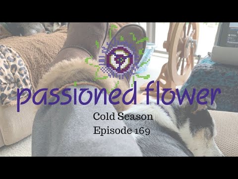 Cold Season - Passioned Flower - Episode 169