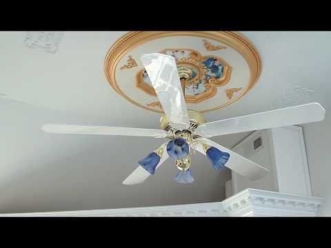 download lagu mp3 mp4 Michelangelo Ceiling Medallions, download lagu Michelangelo Ceiling Medallions gratis, unduh video klip Michelangelo Ceiling Medallions