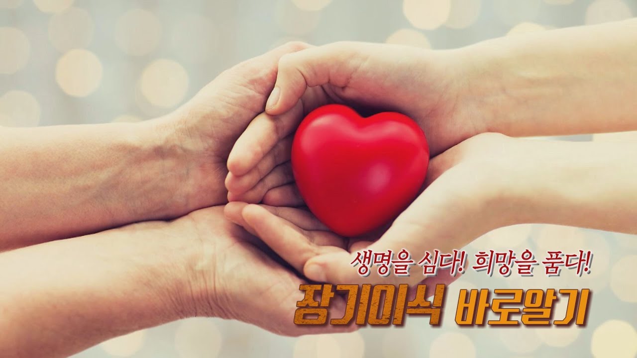생명을 심다! 희망을 품다! ‘장기 이식’ | 간담췌외과 김태석, 심장내과 김인철 교수 관련사진