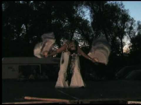 Fantasy bellydance with fan veils