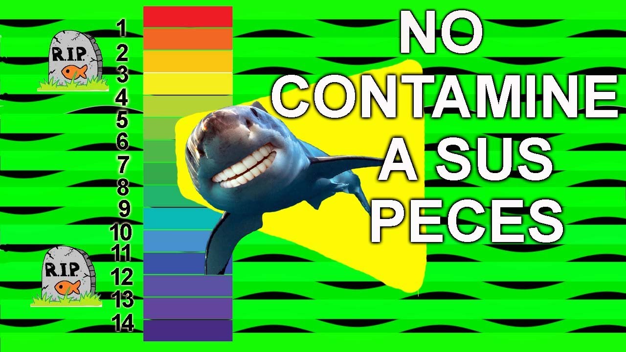 Watch ¿Puede una silicona contaminar un acuario con ácido acético Now ¿Puede una silicona contaminar un acuario con ácido acético