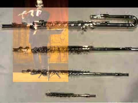 Sagvik: Flute Concerto #2 - Mats Möller & Ralph Gustafsson
