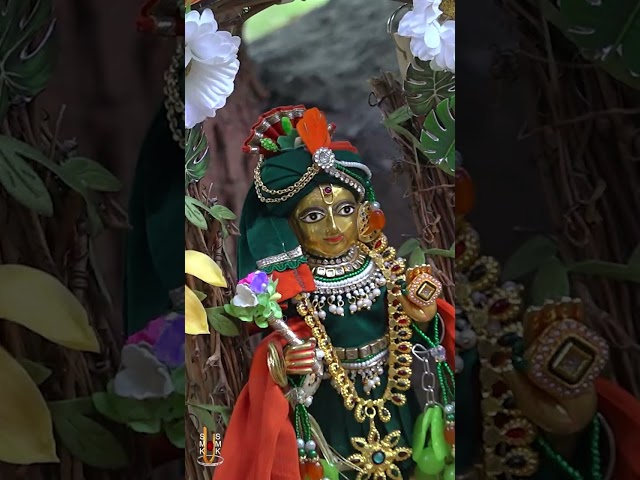 હરિકૃષ્ણ મહારાજ