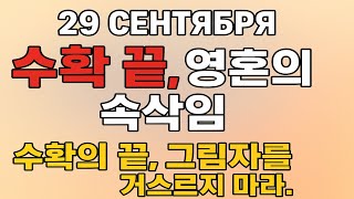 Download lagu 9월 29일: 수확 끝, 영혼의 속삭임 - 가을 문턱의 금기와 지혜 mp3 Download lagu 9월 29일: 수확 끝, 영혼의 속삭임 - 가을 문턱의 금기와 지혜 mp3