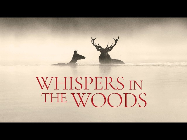 Whispers in the Woods