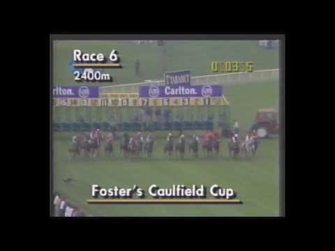 1993 VATC Caulfield Cup