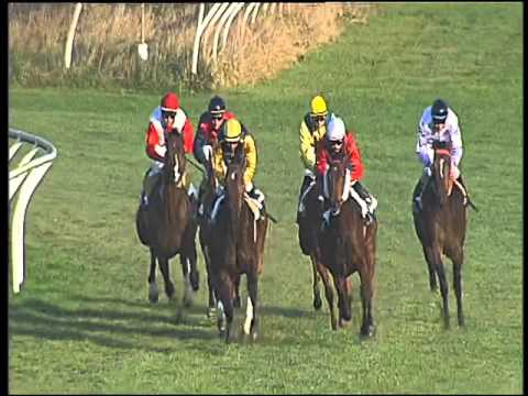 Galoppo 29/01/2016 - 4° corsa