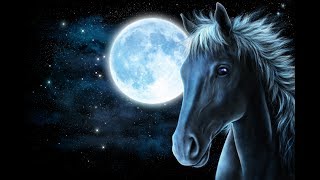 George Harrison - Dark Horse - 1974 - with lyrics