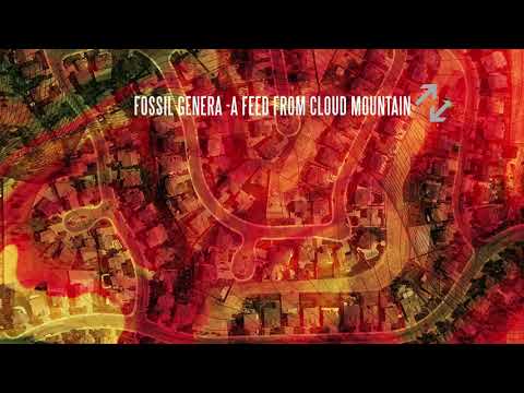 Video thumbnail for Fossil Genera - A Feed from Cloud Mountain