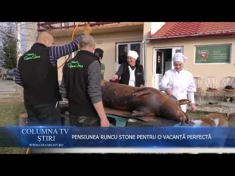 PENSIUNEA RUNCU STONE, DESTINAȚIA IDEALĂ PENTRU O VACANȚĂ PERFECTĂ