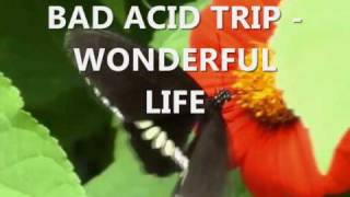 Bad Acid Trip - Wonderful life