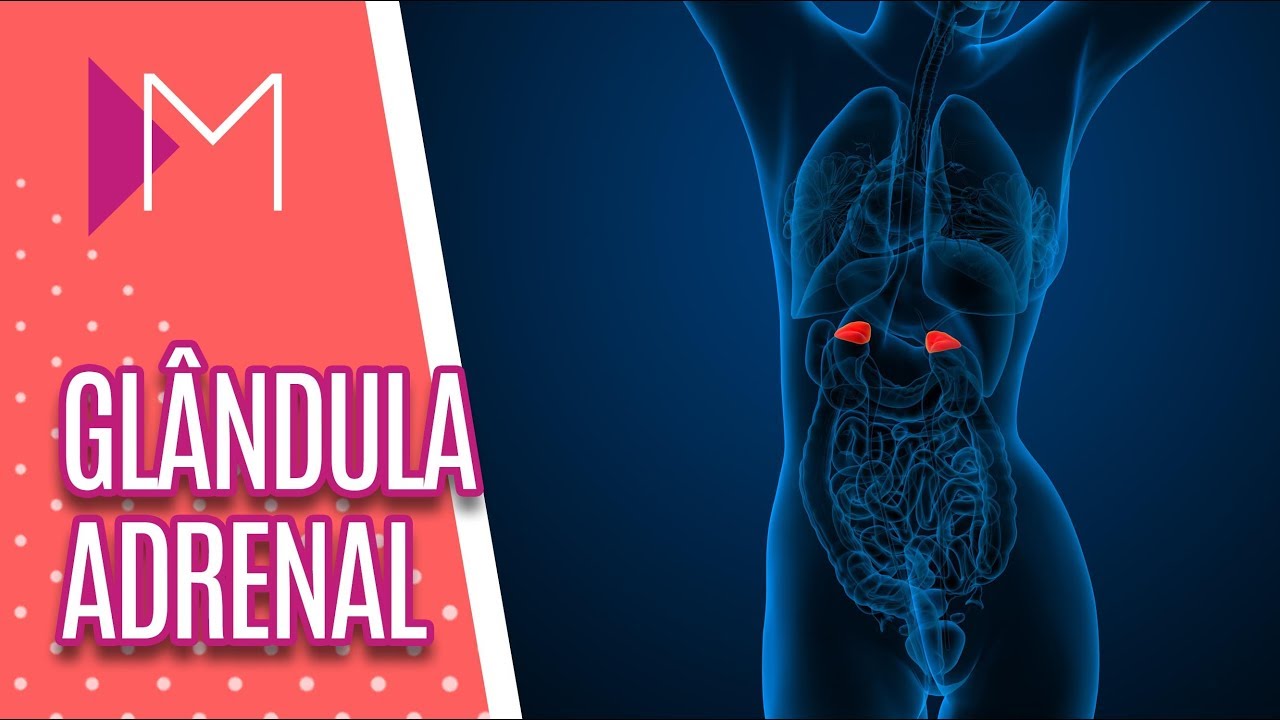 Glândula Adrenal e sua importância para o metabolismo - Mulheres (27/11/18)