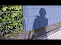 Mit Maria Unterwegs Die Schatten Werden Länger