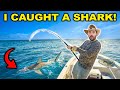 I ACCIDENTALLY Caught A SHARK Catch Clean Cook