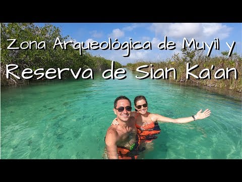 Videos del Beachfront House Sian Kaan 5★ en Tulum, MéxicoVer MásVerPrecios3CerrarConsulta por Whatsapp 🇦🇷BookingSkyscannerTrivago