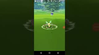 ポケモンgo 初めての色違いポケモン出現❗