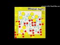 Braille Party - Visiting Dignitaries / Ice Cube's Chance (1984)