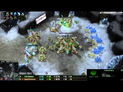 G1 - Malek (RP) vs Anzkiman (RT) - MNS #8