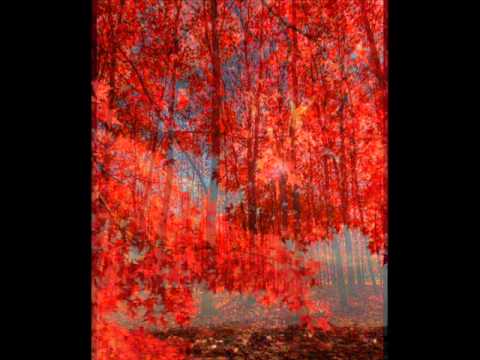 Nemoj na zemlju zulum činiti ljudima